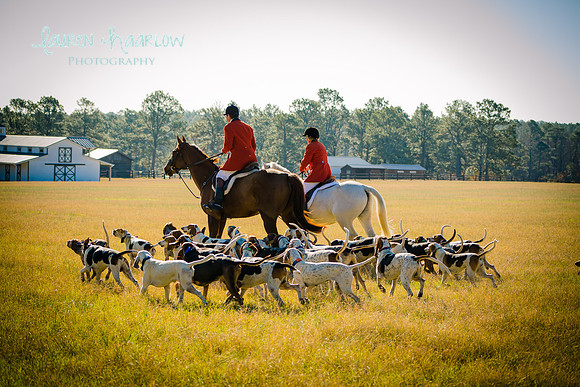 thanksgiving2015 (21 of 175)