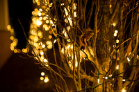 Lights of Hope